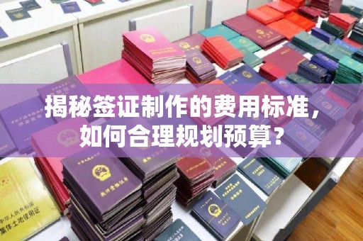 江西揭秘签证制作的费用标准，如何合理规划预算？