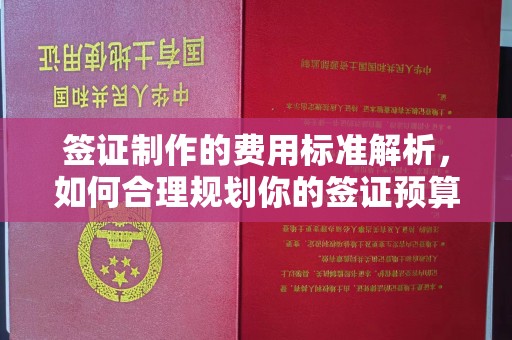 江西签证制作的费用标准解析，如何合理规划你的签证预算