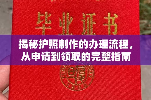 江西揭秘护照制作的办理流程，从申请到领取的完整指南
